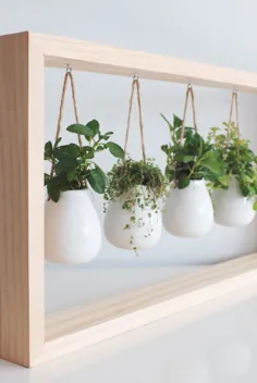 این باغ های گیاهان سرپوشیده آشپزخانه شما را زنده می کند