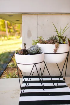 20+ روش طراحی با گیاهان توسط Allie Weiss از The Sangar House