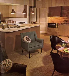 تزئین آشپزخانه دهه 1960 - 21 عکس با ایده های بیشتر از آشپزخانه های 1962 -