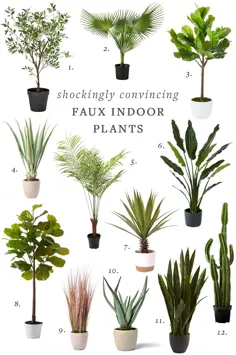 تکان دهنده خوب و قانع کننده گیاهان مصنوعی داخل سالن |  Jojotastic