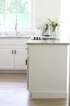 نقاشی کابینت های آشپزخانه به رنگ سفید - آشپزخانه آشکار است