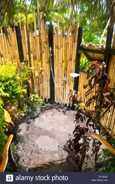 عکس - یک دوش بیرونی گرمسیری عجیب و غریب که با باغ های سرسبز و دیوارهای بامبو احاطه شده است برای زندگی در استراحتگاه ایده آل است