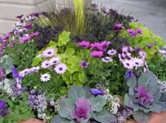 25+ ایده‌های شگفت‌انگیز برای گیاهان ظروف کامل آفتاب برای آرایش باغ شما - تزئین...