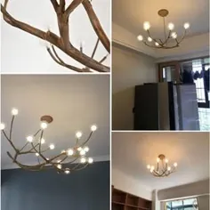 مجموعه روشنایی لوستر حباب شیشه ای Rustic Tree Branch