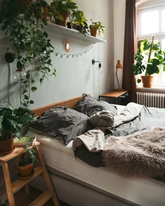 گیاهان زرق و برق دار برای اتاق خواب