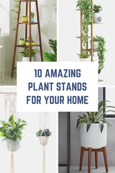 10 ایده شگفت انگیز برای ایستادن گیاهان داخل سالن برای هر نوع خانه - Paisley + Sparrow
