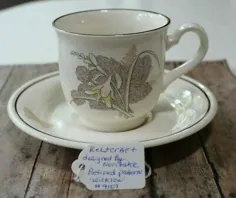 Keltcraft طراحی شده توسط Noritake Wicklow Ireland # 9107 Tea Cup & Saucer