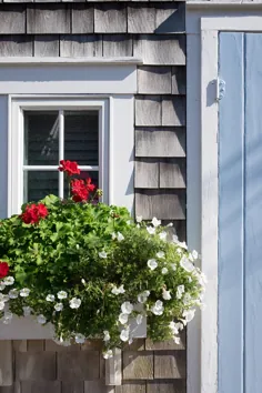 7 نکته برای ایده های زیبا برای جعبه پنجره - زندگی در شهر و کشور