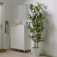 گیاه گلدان مصنوعی FEJKA ، بامبو داخلی / فضای باز ، ارتفاع: 67 اینچ - IKEA
