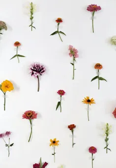 پس زمینه دیوار گل های DIY