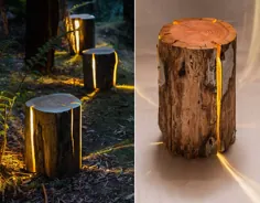 Cracked Log Lamps توسط Duncan Meerding