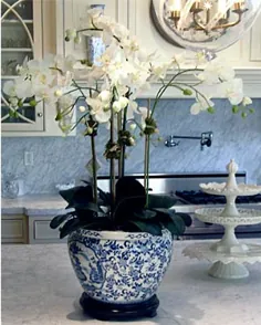25 آشپزخانه کلاسیک سفید با لوازم جانبی آبی و سفید - Glam Pad