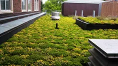 سیستم های بام سبز بام سازگار با محیط زیست