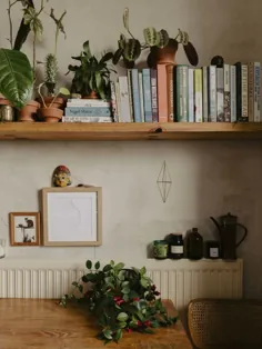 یک آپارتمان پرنعمت از گیاهان در برلین - THE NORDROOM