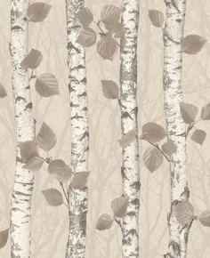 Birchwood Taupe Glitter 2900 41476 Brewster Wallpaper |  انبار کاغذ دیواری