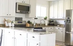 چگونه تمام کابینت های آشپزخانه خود را ساخته ام!