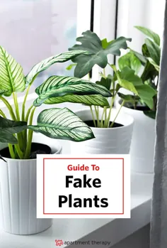 Fake Plants 101: نحوه خرید بهترین گیاهان تقلبی