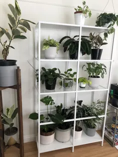 واحد قفسه IKEA برای بعضی از گیاهان من ، خیلی عالی شد!