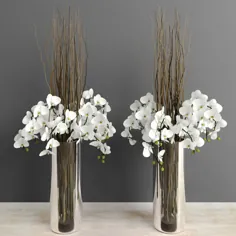 ارکیده سفید با شاخه های بید در گلدان شیشه ای بلند |  مدل سه بعدی