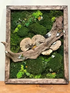 Moss Art توسط Kifumi Keppler - گیاهان عجیب و غریب ساکرامنتو