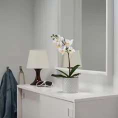 گیاه گلدان مصنوعی FEJKA ، سفید ارکیده ، قطر گلدان گیاه: 3 1⁄2 "- IKEA