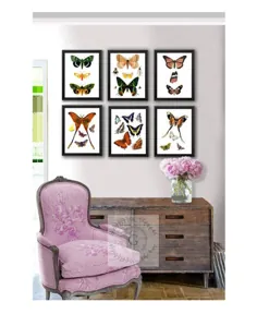 مجموعه پروانه وال پروانه از 6 چاپ بدون قاب مهد کودک اتاق دختران |  اتسی
