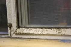 چگونه می توان قاب های پنجره آلومینیومی را تمیز و بازیابی کرد