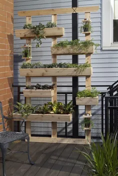 چگونه: یک دیوار گیاه برای زندگی در فضای باز ساخت