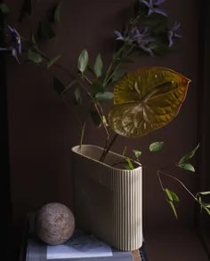 گلدان ریج |  طراحی مجسمه سازی