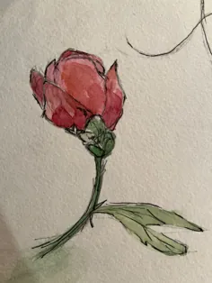 نقاشی گل رز قرمز در حال شکفتن