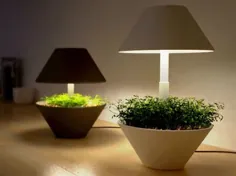 چراغ های گلخانه ای مدرن برای گیاهان بدون پنجره و بدون آفتاب