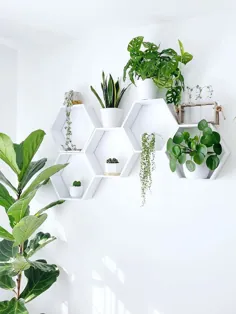 9 روش برای چیدمان کامل قفسه گیاهان داخلی