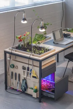 Amazing Desk-Planter-Lamp: Desktoop Vegetal Desk Lamp - چراغ های iD
