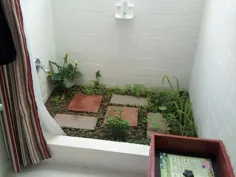 باغ زیر دوش + حمام خزه