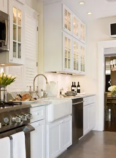 آشپزخانه Galley - سنتی - آشپزخانه - Benjamin Moore Soft chamois - Paul Corrie Interiors