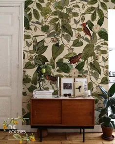 گیاه شناسی Vintage Tapete ، Vintage Vögel ، Blätter abnehmbare Tapete ، Selbstklebewand-Mural ، Grün illustrierte Wandkunst ، Natur # 10
