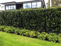 50 ایده برتر برای نرده های حریم خصوصی - طرح های حیاط خلوت محافظت شده