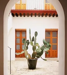 سبک Hacienda: کتابهای ما کتابهای طراحی مکزیکی ، معماری مکزیک ، فضای داخلی مکزیک