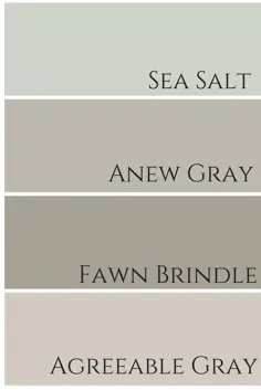 Agreeable Grey توسط شروین ویلیامز نقد و بررسی رنگ - کلر جفورد