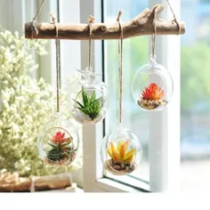 مجموعه 4 |  دارندگان گیاهان 4 اینچی گیاهان آویز شیشه گیاهان تراریوم