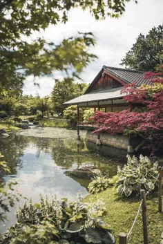باغ ژاپنی یک راهنما