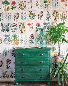 Annie Sloan DIY: Decoupage Wall and Green Chest - مجله گل