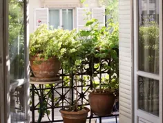 باغ های بالکن پاریسی عالی: 7 مورد دلخواه از آرشیو گاردنیستا