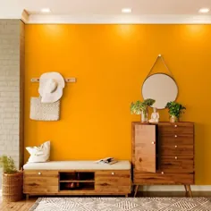 سایه های رنگ رنگ Orange Appeal House برای دیوارها - رنگ های آسیایی را امتحان کنید
