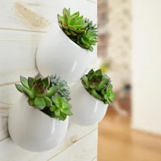 Arcadia Garden Products Round 3-1 / 2 in. x 4 in. Gloss White Seramic Wall Planter (3-Piece) -WP25 - The Home Depot