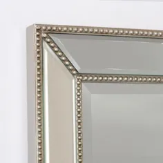 آینه دکو 24 اینچ W x 36 اینچ آینه حمام مستطیل مستطیل لبه دار در شامپاین نقره -1228 - انبار خانه