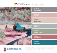 برنامه تطبیق رنگ Paint: برنامه ColorSnap® Paint Color - Sherwin-Williams