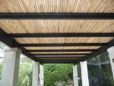 ایده های طراحی سقف کلاه فرنگی: از طبیعی تا موتوری - اطلس درختان خانگی