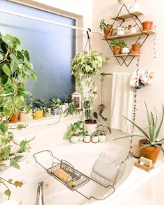 18 ایده برتر گیاهان آویز برای حمام که آن را پر از زندگی می کند