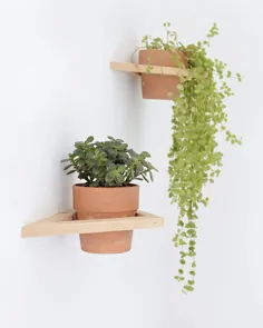 10 تجربه DIY pour suspendre vos plantes |  وبلاگ من را تکان دهید
